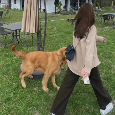 不能犯规的游戏2021